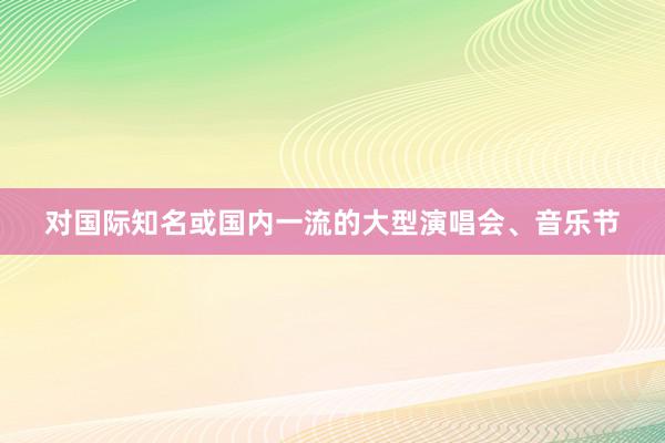 对国际知名或国内一流的大型演唱会、音乐节