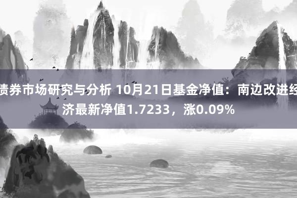 债券市场研究与分析 10月21日基金净值：南边改进经济最新净值1.7233，涨0.09%