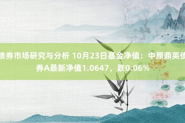 债券市场研究与分析 10月23日基金净值：中原鼎英债券A最新净值1.0647，跌0.06%