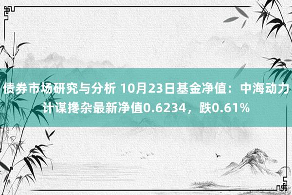 债券市场研究与分析 10月23日基金净值：中海动力计谋搀杂最新净值0.6234，跌0.61%