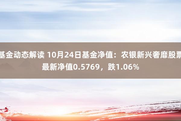 基金动态解读 10月24日基金净值：农银新兴奢靡股票最新净值0.5769，跌1.06%