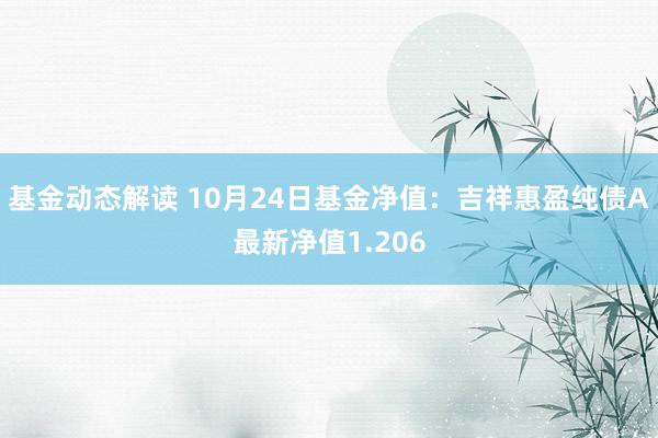 基金动态解读 10月24日基金净值：吉祥惠盈纯债A最新净值1.206