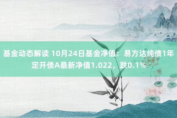 基金动态解读 10月24日基金净值：易方达纯债1年定开债A最新净值1.022，跌0.1%