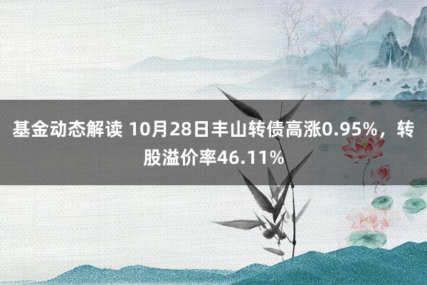 基金动态解读 10月28日丰山转债高涨0.95%，转股溢价率46.11%