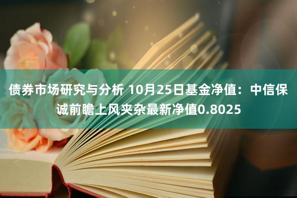 债券市场研究与分析 10月25日基金净值：中信保诚前瞻上风夹杂最新净值0.8025