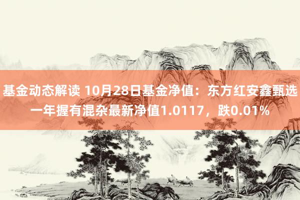 基金动态解读 10月28日基金净值：东方红安鑫甄选一年握有混杂最新净值1.0117，跌0.01%