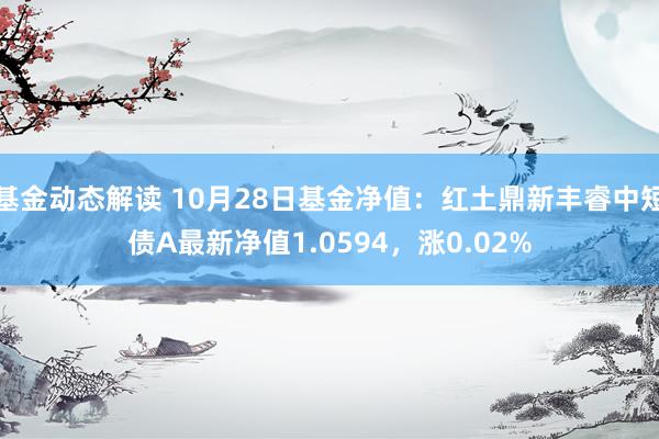 基金动态解读 10月28日基金净值：红土鼎新丰睿中短债A最新净值1.0594，涨0.02%