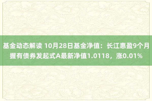 基金动态解读 10月28日基金净值：长江惠盈9个月握有债券发起式A最新净值1.0118，涨0.01%