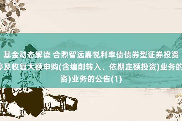 基金动态解读 合煦智远嘉悦利率债债券型证券投资基金暂停及收复大额申购(含编削转入、依期定额投资)业务的公告(1)