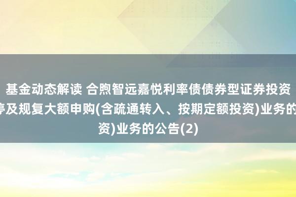 基金动态解读 合煦智远嘉悦利率债债券型证券投资基金暂停及规复大额申购(含疏通转入、按期定额投资)业务的公告(2)