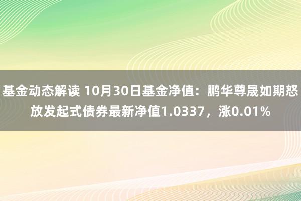 基金动态解读 10月30日基金净值：鹏华尊晟如期怒放发起式债券最新净值1.0337，涨0.01%