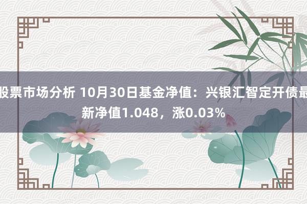 股票市场分析 10月30日基金净值：兴银汇智定开债最新净值1.048，涨0.03%