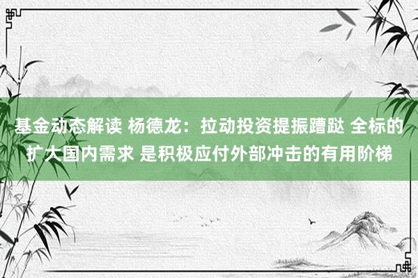 基金动态解读 杨德龙：拉动投资提振蹧跶 全标的扩大国内需求 是积极应付外部冲击的有用阶梯