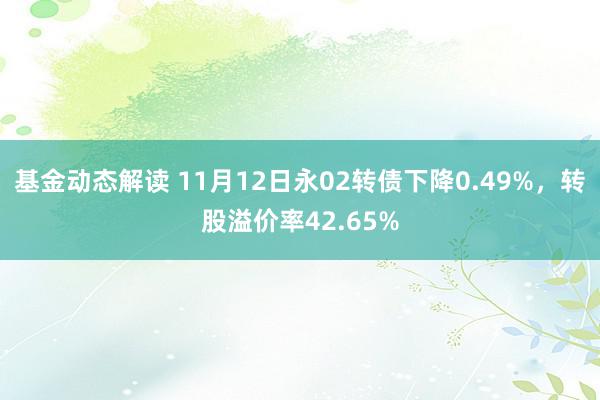 基金动态解读 11月12日永02转债下降0.49%，转股溢价率42.65%