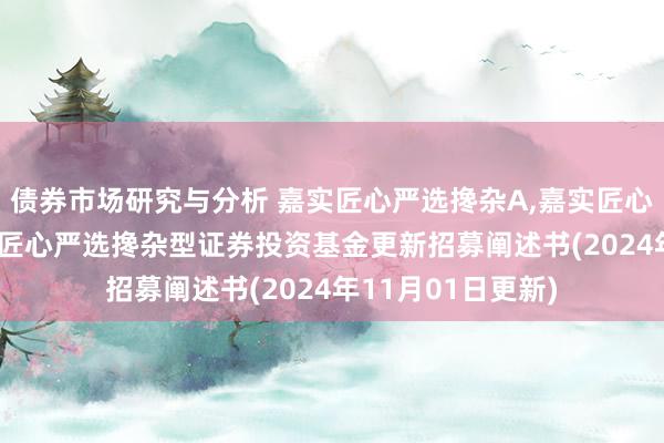 债券市场研究与分析 嘉实匠心严选搀杂A,嘉实匠心严选搀杂C: 嘉实匠心严选搀杂型证券投资基金更新招募阐述书(2024年11月01日更新)