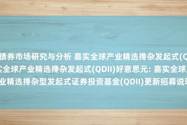 债券市场研究与分析 嘉实全球产业精选搀杂发起式(QDII)东说念主民币,嘉实全球产业精选搀杂发起式(QDII)好意思元: 嘉实全球产业精选搀杂型发起式证券投资基金(QDII)更新招募说明书(2024年11月01日更新)