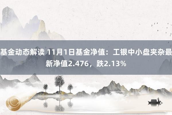 基金动态解读 11月1日基金净值：工银中小盘夹杂最新净值2.476，跌2.13%