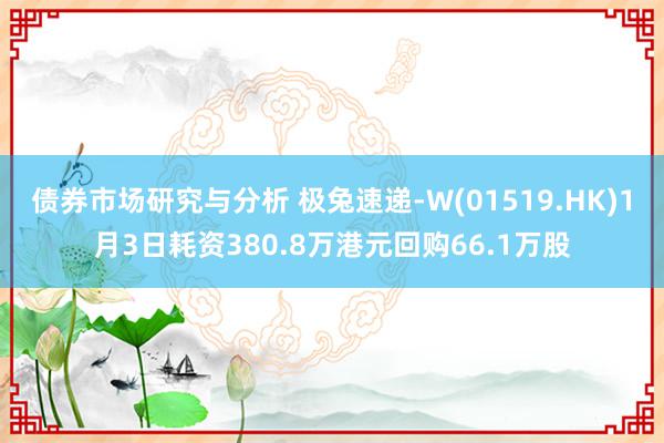 债券市场研究与分析 极兔速递-W(01519.HK)1月3日耗资380.8万港元回购66.1万股