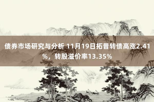 债券市场研究与分析 11月19日拓普转债高涨2.41%，转股溢价率13.35%