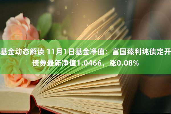 基金动态解读 11月1日基金净值：富国臻利纯债定开债券最新净值1.0466，涨0.08%