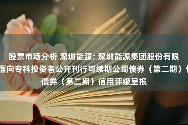 股票市场分析 深圳能源: 深圳能源集团股份有限公司2024年面向专科投资者公开刊行可续期公司债券（第二期）信用评级呈报