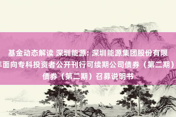 基金动态解读 深圳能源: 深圳能源集团股份有限公司2024年面向专科投资者公开刊行可续期公司债券（第二期）召募说明书