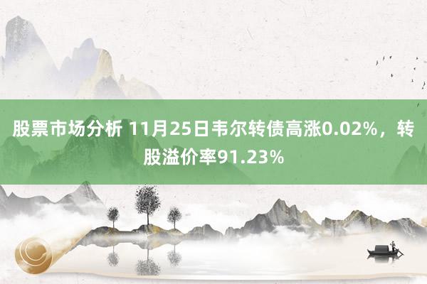 股票市场分析 11月25日韦尔转债高涨0.02%，转股溢价率91.23%