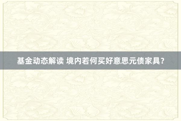 基金动态解读 境内若何买好意思元债家具？