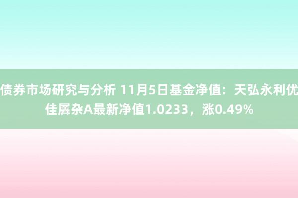 债券市场研究与分析 11月5日基金净值：天弘永利优佳羼杂A最新净值1.0233，涨0.49%