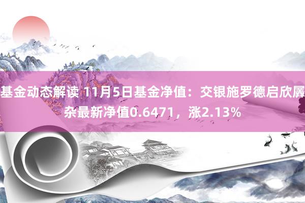 基金动态解读 11月5日基金净值：交银施罗德启欣羼杂最新净值0.6471，涨2.13%