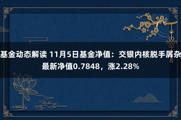 基金动态解读 11月5日基金净值：交银内核脱手羼杂最新净值0.7848，涨2.28%