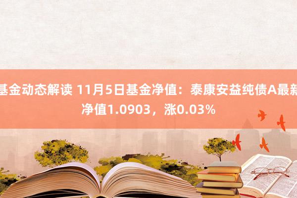 基金动态解读 11月5日基金净值：泰康安益纯债A最新净值1.0903，涨0.03%