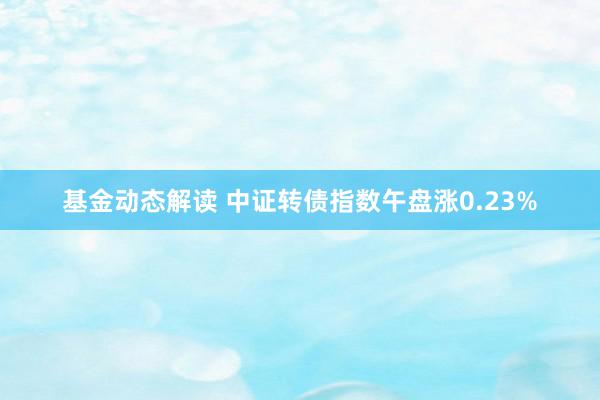 基金动态解读 中证转债指数午盘涨0.23%