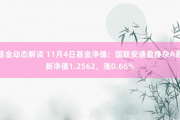 基金动态解读 11月4日基金净值：国联安通盈搀杂A最新净值1.2562，涨0.66%