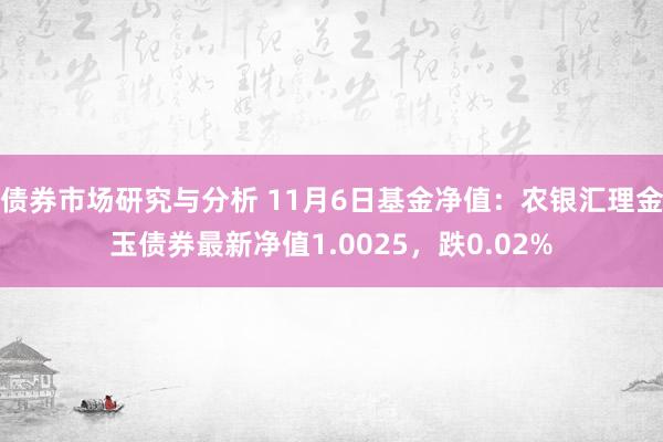 债券市场研究与分析 11月6日基金净值：农银汇理金玉债券最新净值1.0025，跌0.02%