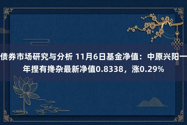 债券市场研究与分析 11月6日基金净值：中原兴阳一年捏有搀杂最新净值0.8338，涨0.29%