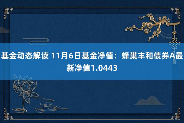 基金动态解读 11月6日基金净值：蜂巢丰和债券A最新净值1.0443