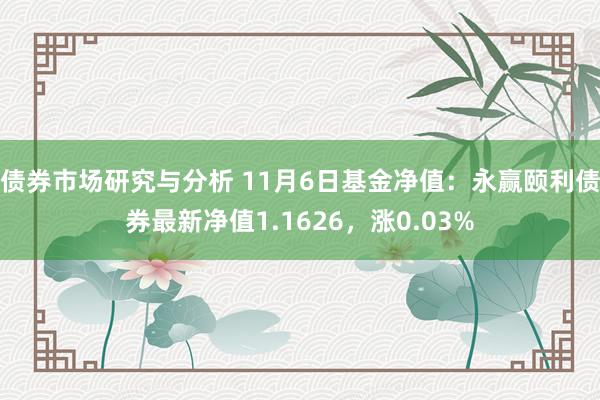 债券市场研究与分析 11月6日基金净值：永赢颐利债券最新净值1.1626，涨0.03%