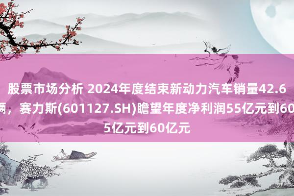 股票市场分析 2024年度结束新动力汽车销量42.69万辆，赛力斯(601127.SH)瞻望年度净利润55亿元到60亿元