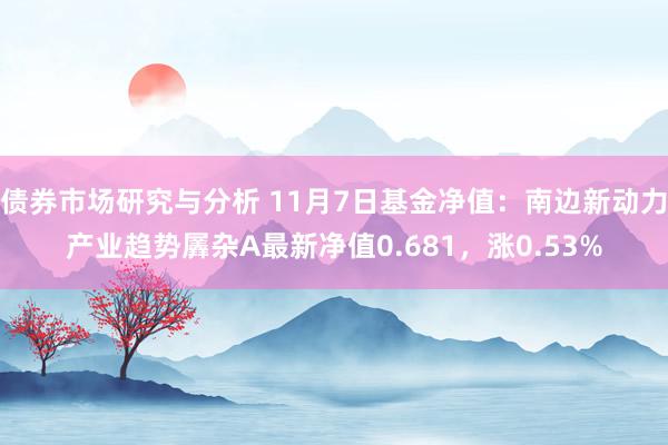 债券市场研究与分析 11月7日基金净值：南边新动力产业趋势羼杂A最新净值0.681，涨0.53%