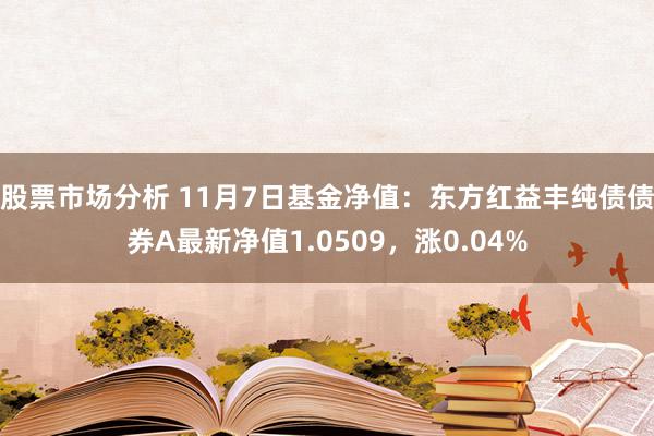 股票市场分析 11月7日基金净值：东方红益丰纯债债券A最新净值1.0509，涨0.04%