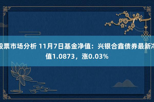 股票市场分析 11月7日基金净值：兴银合鑫债券最新净值1.0873，涨0.03%