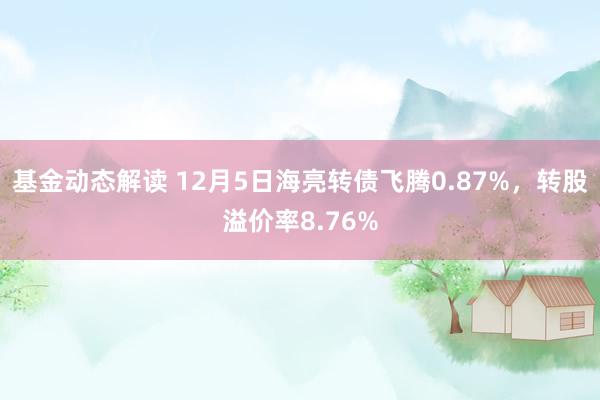 基金动态解读 12月5日海亮转债飞腾0.87%，转股溢价率8.76%