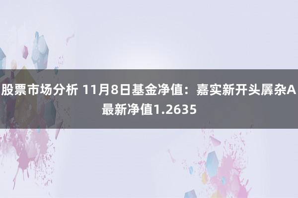 股票市场分析 11月8日基金净值：嘉实新开头羼杂A最新净值1.2635