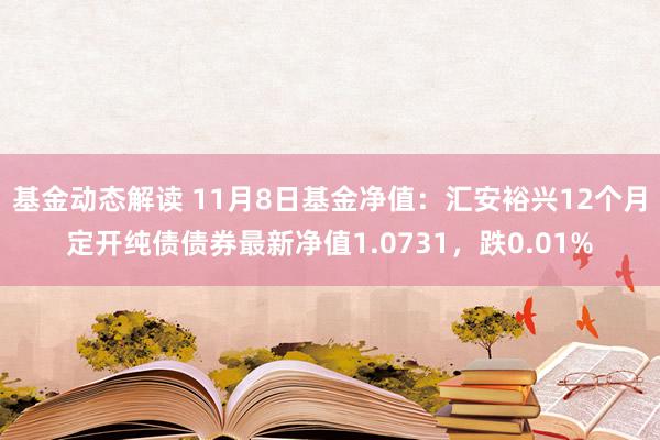 基金动态解读 11月8日基金净值：汇安裕兴12个月定开纯债债券最新净值1.0731，跌0.01%