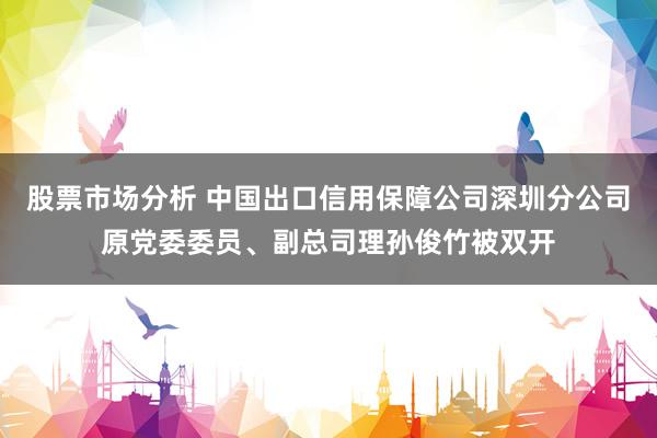 股票市场分析 中国出口信用保障公司深圳分公司原党委委员、副总司理孙俊竹被双开