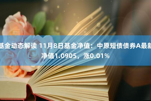 基金动态解读 11月8日基金净值：中原短债债券A最新净值1.0905，涨0.01%