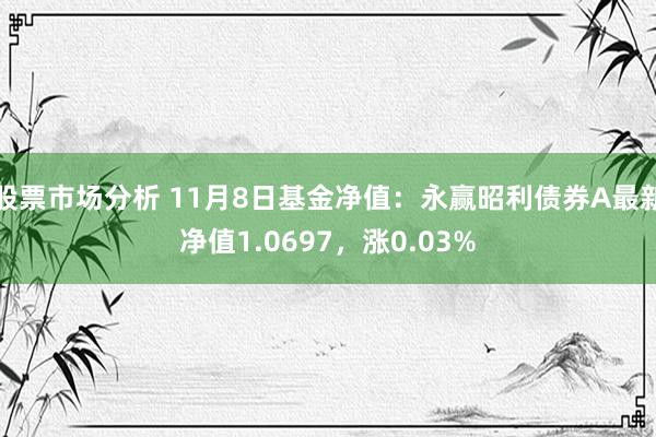 股票市场分析 11月8日基金净值：永赢昭利债券A最新净值1.0697，涨0.03%