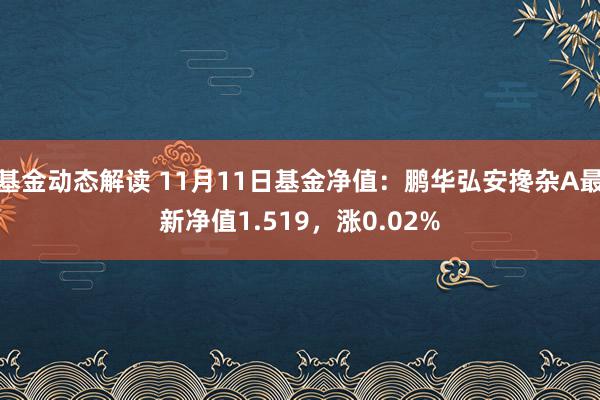 基金动态解读 11月11日基金净值：鹏华弘安搀杂A最新净值1.519，涨0.02%