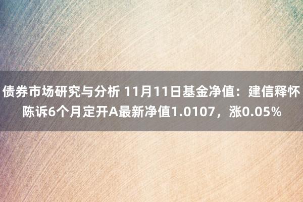 债券市场研究与分析 11月11日基金净值：建信释怀陈诉6个月定开A最新净值1.0107，涨0.05%